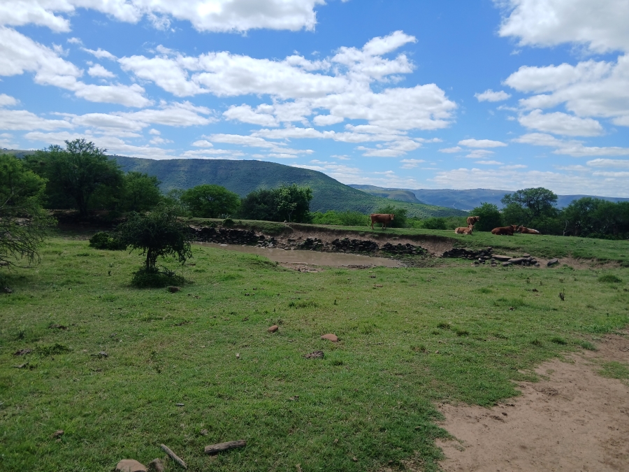 0 Bedroom Property for Sale in Stutterheim Rural Eastern Cape
